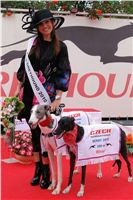 NewMac_Dior_Zlaty_chrt_Ceska_greyhound_dostihova_federace_DSC09332.jpg