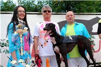 NewMac_Dior_Zlaty_chrt_Ceska_greyhound_dostihova_federace_Dsc06976.jpg