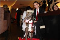 Golden_Greyhound_2010_Awards_DSC05812.JPG