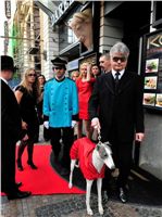 Golden_Greyhound_2010_Awards__002.jpg