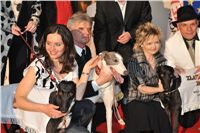 Golden_Greyhound_2010_Awards_363.jpg