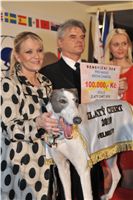 Golden_Greyhound_2010_Awards__336.jpg