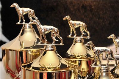 Zlaty_chrt_Czech_Greyhound_Racing_Federation_180.jpg