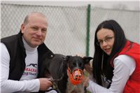 First_Solo_Racing_2011_Ceska_greyhound_dostihova_federace_DSC00234.JPG