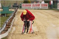 First_Solo_Racing_2011_Ceska_greyhound_dostihova_federace_DSC00509.JPG