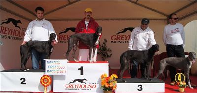 First_Solo_Racing_2011_Ceska_greyhound_dostihova_federace_DSC00743.JPG