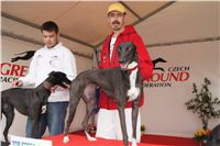 First_Solo_Racing_2011_Ceska_greyhound_dostihova_federace_DSC00759.JPG