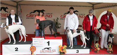 First_Solo_Racing_2011_Ceska_greyhound_dostihova_federace_NQ1M1792.JPG