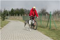 Second_Dual_Racing_2011_Ceska_greyhound_dostihova_federace_NQ1M1255.JPG