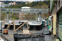 Stadium_Prague_Motol_Ceska_greyhound_dostihova_federace_DSC06990.JPG