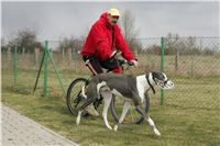 Second_Dual_Racing_2011_Ceska_greyhound_dostihova_federace_NQ1M1256.JPG