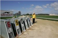 Second_Dual_Racing_2011_Ceska_greyhound_dostihova_federace_NQ1M6710.JPG