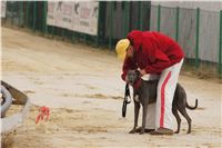 First_Solo_Racing_2011_Ceska_greyhound_dostihova_federace_DSC00402.JPG