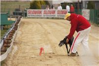 First_Solo_Racing_2011_Ceska_greyhound_dostihova_federace_DSC00519.JPG