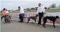 First_Solo_Racing_2011_Ceska_greyhound_dostihova_federace_DSC00709.JPG