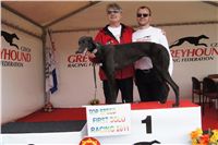 First_Solo_Racing_2011_Ceska_greyhound_dostihova_federace_DSC00817.JPG