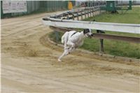 First_Solo_Racing_2011_Ceska_greyhound_dostihova_federace_NQ1M1589.JPG