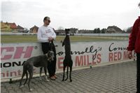 First_Solo_Racing_2011_Ceska_greyhound_dostihova_federace_NQ1M1693.JPG