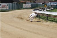 Third_Trial_Racing_2011_Ceska_greyhound_dostihova_federace_DSC01905.JPG