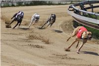 Third_Trial_Racing_2011_Ceska_greyhound_dostihova_federace_DSC01923.JPG