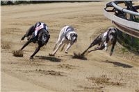 Third_Trial_Racing_2011_Ceska_greyhound_dostihova_federace_DSC01925.JPG