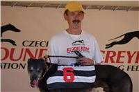 Third_Trial_Racing_2011_Ceska_greyhound_dostihova_federace_DSC01987.JPG