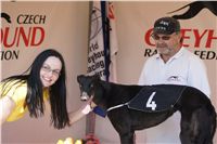 Third_Trial_Racing_2011_Ceska_greyhound_dostihova_federace_DSC02043.JPG