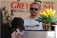 Third_Trial_Racing_2011_Ceska_greyhound_dostihova_federace_DSC02103.JPG