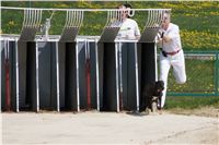 Third_Trial_Racing_2011_Ceska_greyhound_dostihova_federace_DSC02118.JPG