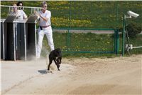 Third_Trial_Racing_2011_Ceska_greyhound_dostihova_federace_DSC02122.JPG