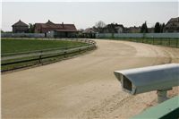 Third_Trial_Racing_2011_Ceska_greyhound_dostihova_federace_NQ1M7243.JPG