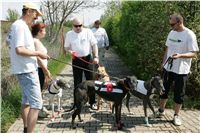 Third_Trial_Racing_2011_Ceska_greyhound_dostihova_federace_NQ1M7275.JPG