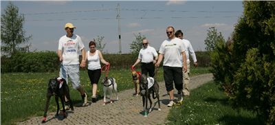 Third_Trial_Racing_2011_Ceska_greyhound_dostihova_federace_NQ1M7300.JPG