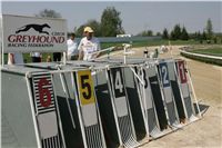 Third_Trial_Racing_2011_Ceska_greyhound_dostihova_federace_NQ1M7305.JPG