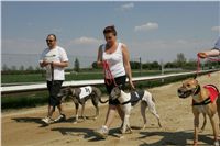 Third_Trial_Racing_2011_Ceska_greyhound_dostihova_federace_NQ1M7355.JPG