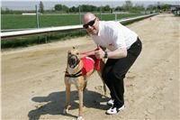 Third_Trial_Racing_2011_Ceska_greyhound_dostihova_federace_NQ1M7357.JPG