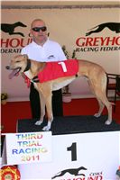 Third_Trial_Racing_2011_Ceska_greyhound_dostihova_federace_NQ1M7371.JPG