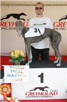 Third_Trial_Racing_2011_Ceska_greyhound_dostihova_federace_NQ1M7378.JPG