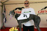 Third_Trial_Racing_2011_Ceska_greyhound_dostihova_federace_NQ1M7381.JPG