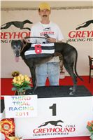 Third_Trial_Racing_2011_Ceska_greyhound_dostihova_federace_NQ1M7383.JPG