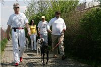 Third_Trial_Racing_2011_Ceska_greyhound_dostihova_federace_NQ1M7394.JPG