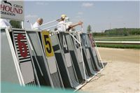 Third_Trial_Racing_2011_Ceska_greyhound_dostihova_federace_NQ1M7421.JPG