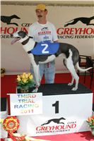 Third_Trial_Racing_2011_Ceska_greyhound_dostihova_federace_NQ1M7492.JPG