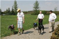 Third_Trial_Racing_2011_Ceska_greyhound_dostihova_federace_NQ1M7518.JPG