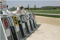 Third_Trial_Racing_2011_Ceska_greyhound_dostihova_federace_NQ1M7530.JPG