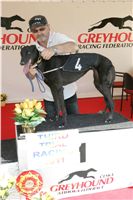 Third_Trial_Racing_2011_Ceska_greyhound_dostihova_federace_NQ1M7579.JPG