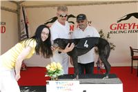 Third_Trial_Racing_2011_Ceska_greyhound_dostihova_federace_NQ1M7589.JPG