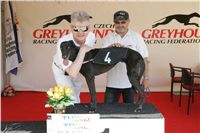 Third_Trial_Racing_2011_Ceska_greyhound_dostihova_federace_NQ1M7591.JPG