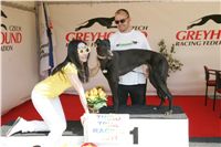 Third_Trial_Racing_2011_Ceska_greyhound_dostihova_federace_NQ1M7665.JPG