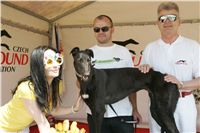 Third_Trial_Racing_2011_Ceska_greyhound_dostihova_federace_NQ1M7676.JPG